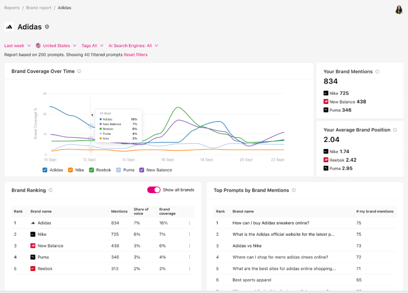 Screenshot of Otterly Interface